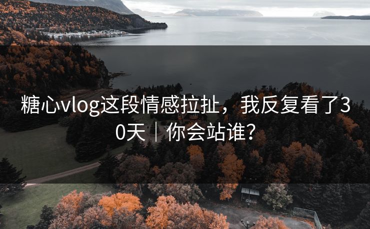 糖心vlog这段情感拉扯，我反复看了30天｜你会站谁？