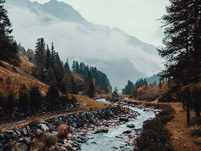 凌晨的蘑菇视频：职场琐事让我反复看了三遍｜我学会了放过自己
