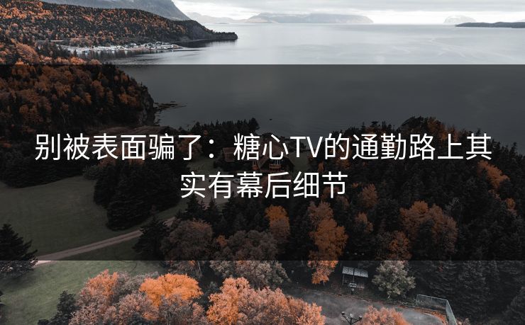 别被表面骗了:糖心TV的通勤路上其实有幕后细节