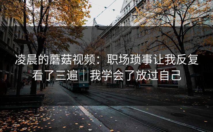 凌晨的蘑菇视频：职场琐事让我反复看了三遍｜我学会了放过自己