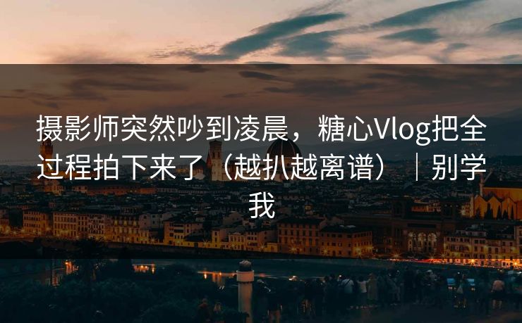 摄影师突然吵到凌晨，糖心Vlog把全过程拍下来了（越扒越离谱）｜别学我