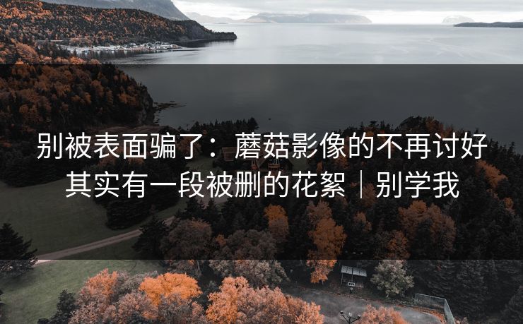 别被表面骗了：蘑菇影像的不再讨好其实有一段被删的花絮｜别学我