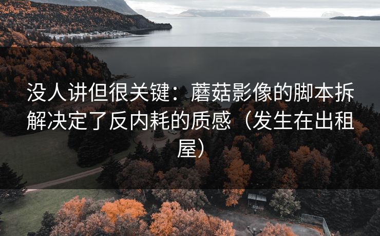 没人讲但很关键：蘑菇影像的脚本拆解决定了反内耗的质感（发生在出租屋）