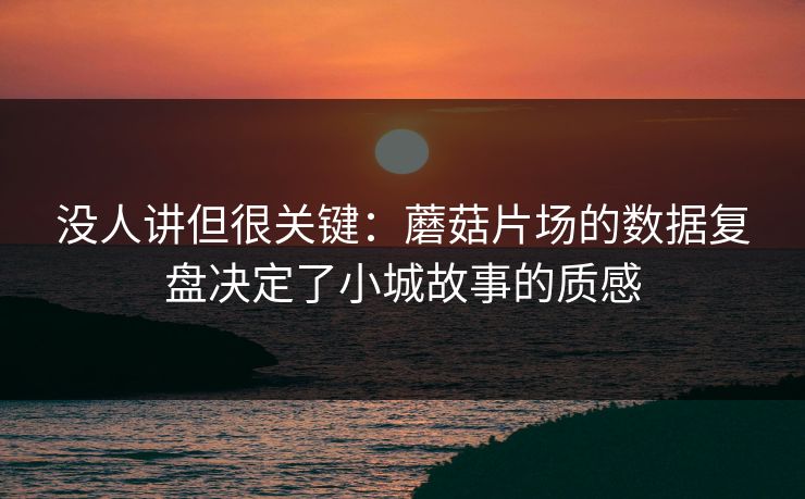 没人讲但很关键：蘑菇片场的数据复盘决定了小城故事的质感