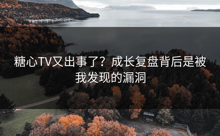 糖心TV又出事了？成长复盘背后是被我发现的漏洞