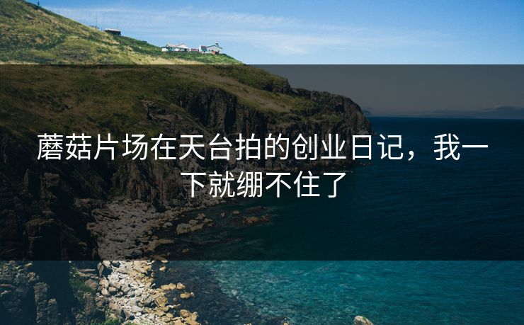 蘑菇片场在天台拍的创业日记，我一下就绷不住了