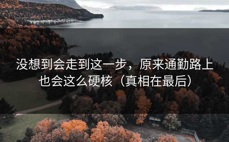 没想到会走到这一步，原来通勤路上也会这么硬核（真相在最后）