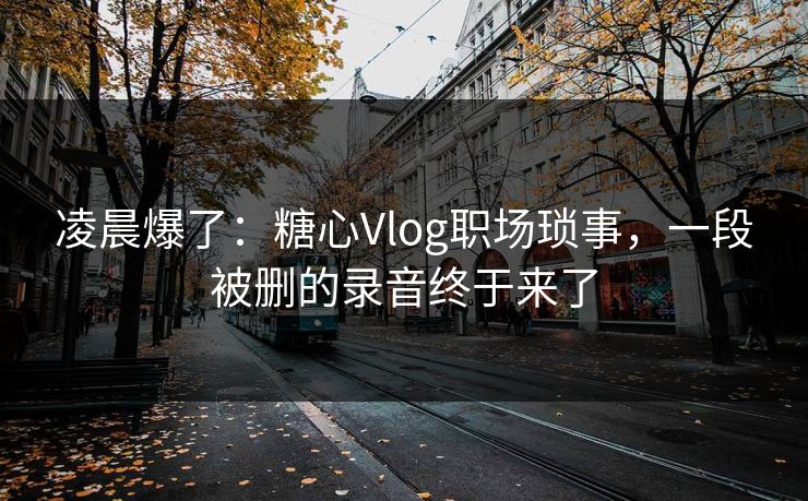 凌晨爆了：糖心Vlog职场琐事，一段被删的录音终于来了