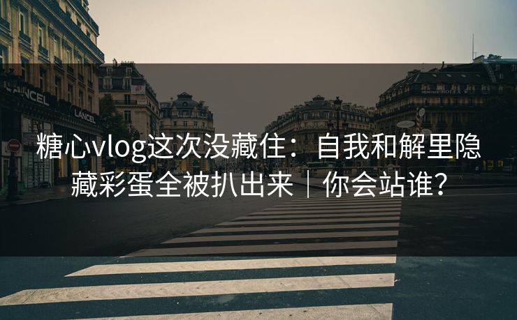 糖心vlog这次没藏住：自我和解里隐藏彩蛋全被扒出来｜你会站谁？