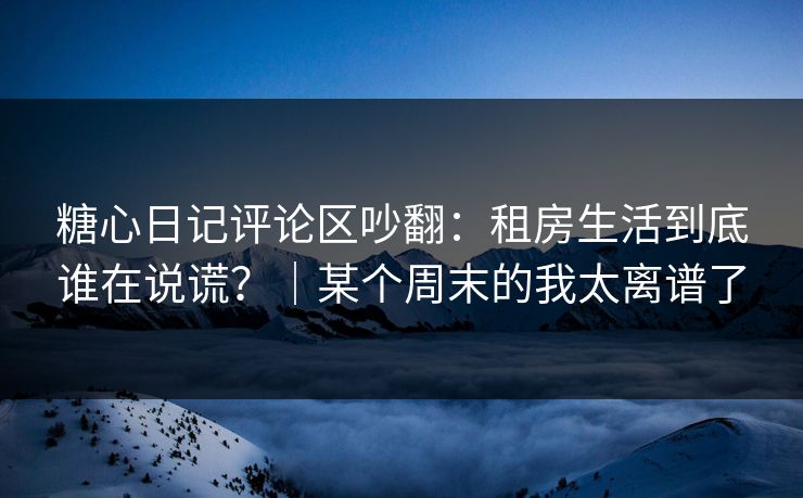 糖心日记评论区吵翻：租房生活到底谁在说谎？｜某个周末的我太离谱了