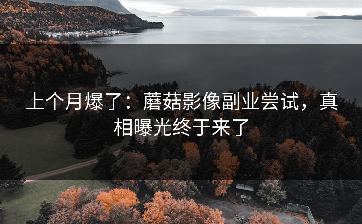 上个月爆了：蘑菇影像副业尝试，真相曝光终于来了