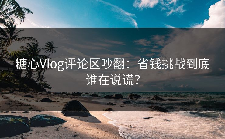 糖心Vlog评论区吵翻：省钱挑战到底谁在说谎？
