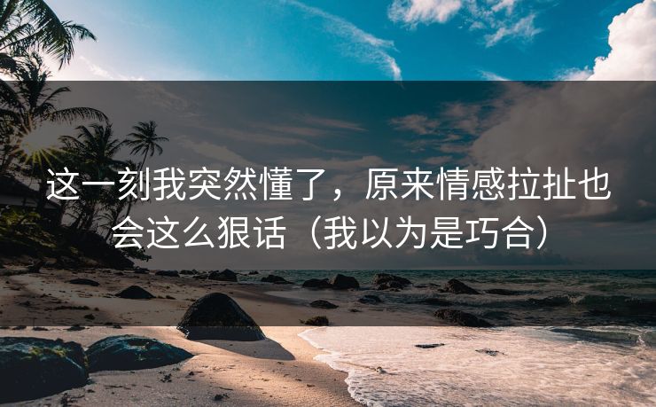 这一刻我突然懂了，原来情感拉扯也会这么狠话（我以为是巧合）