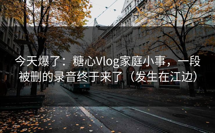 今天爆了：糖心Vlog家庭小事，一段被删的录音终于来了（发生在江边）